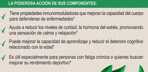 EQUILIBRA CUERTPO Y MENTEA POTENCIALIZA TU ENERGÍA CON SHWAGANDHA PURO EN POLVO