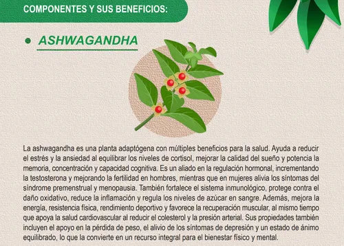 EQUILIBRA CUERTPO Y MENTEA POTENCIALIZA TU ENERGÍA CON SHWAGANDHA PURO EN POLVO